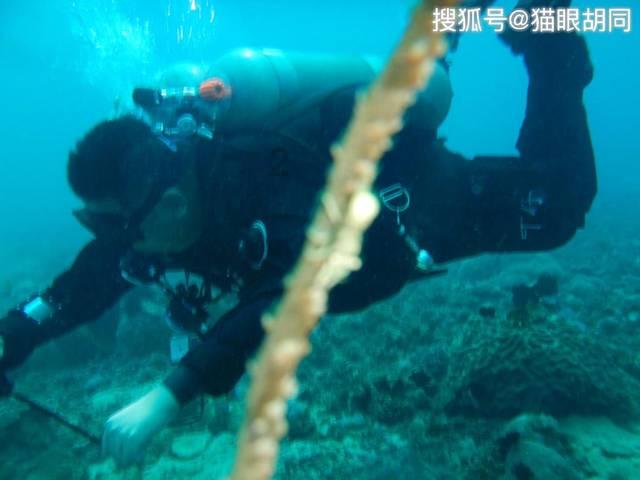 发现冷知识,尽在地力保护转入是什么意思?!