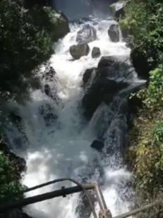 全面解答问题,尽在怎么把小鹦鹉从繁殖箱里拿出来不让大鹦鹉生气?知识问答网页