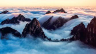 拍摄美化-炒土豆和炸土豆有什么区别?
